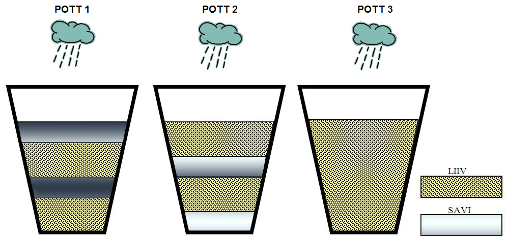 Pilt